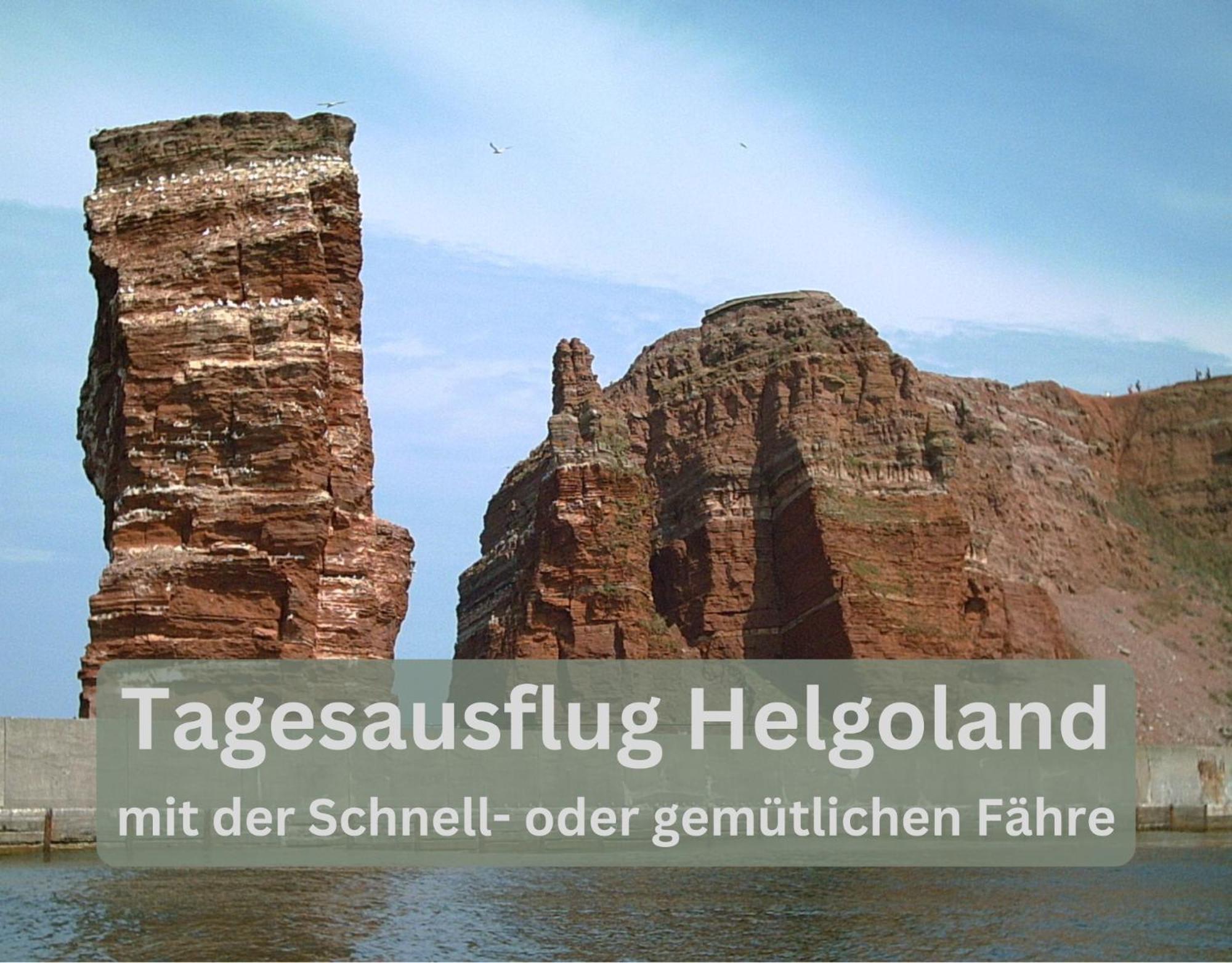 Lodge94 - Tinyhouse Kleiner Luxus Wilhelmshaven Ngoại thất bức ảnh