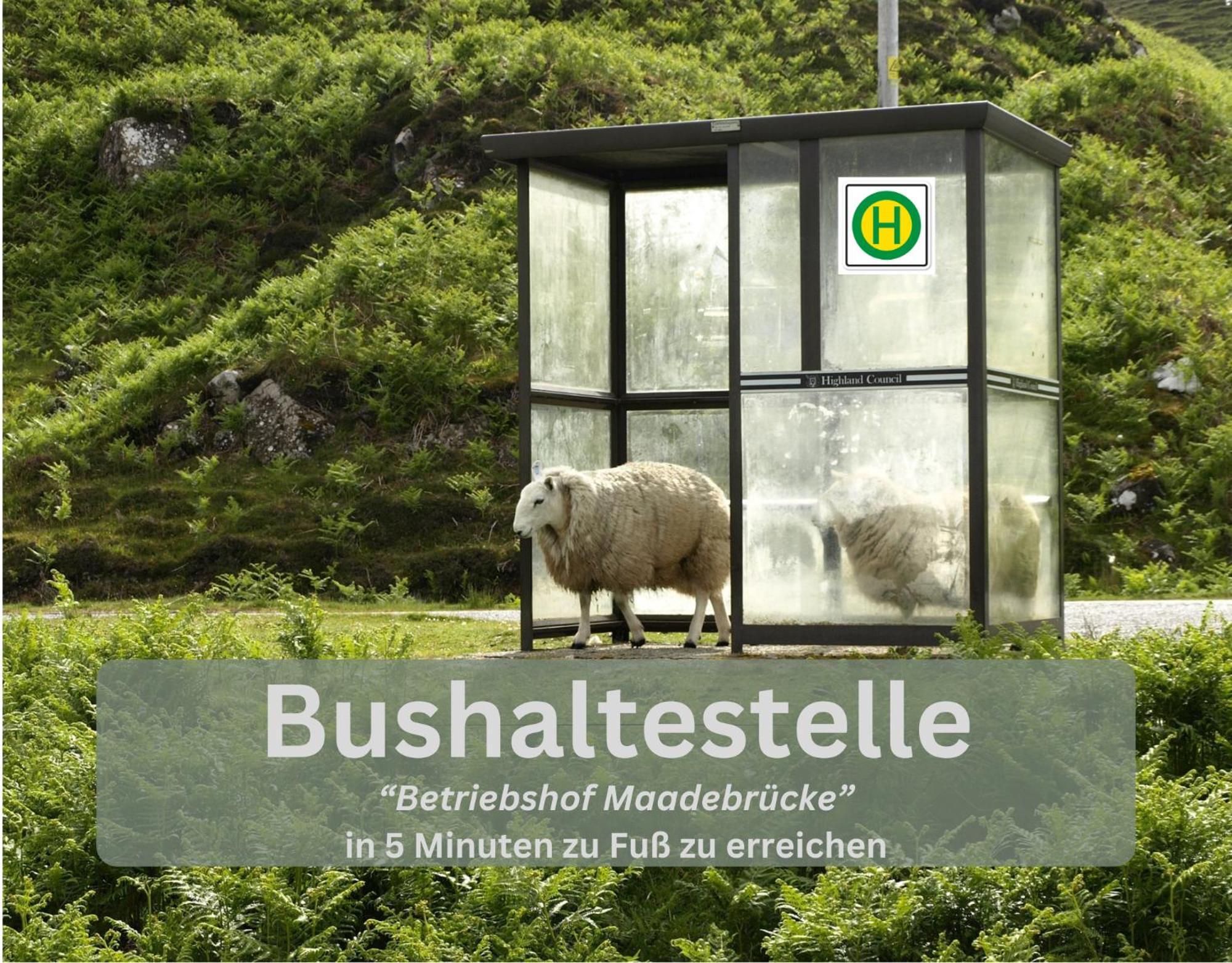 Lodge94 - Tinyhouse Kleiner Luxus Wilhelmshaven Ngoại thất bức ảnh